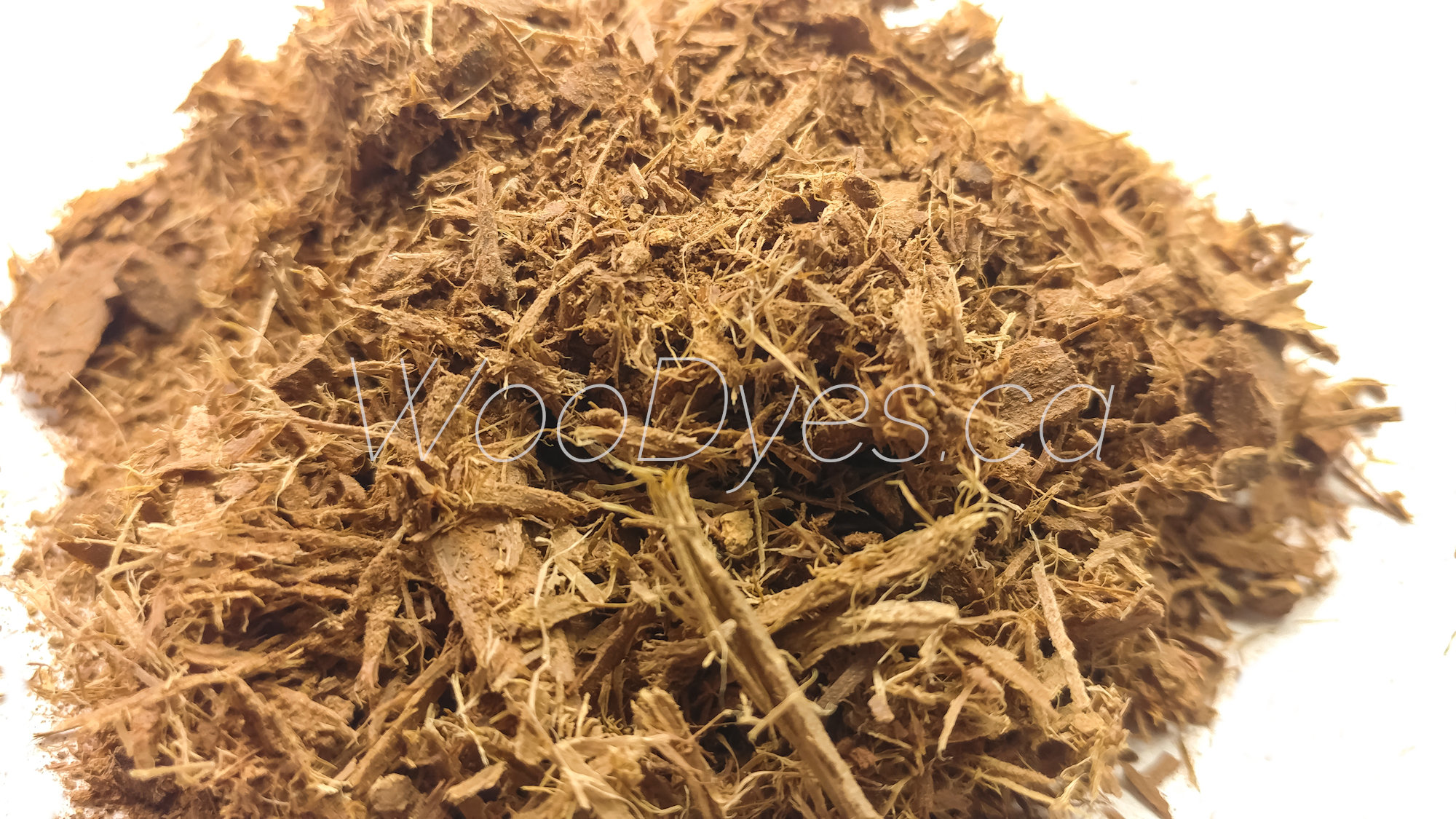 Acacia Confusa Root Bark (Wild-Harvested Powdered) - W∞Dyes