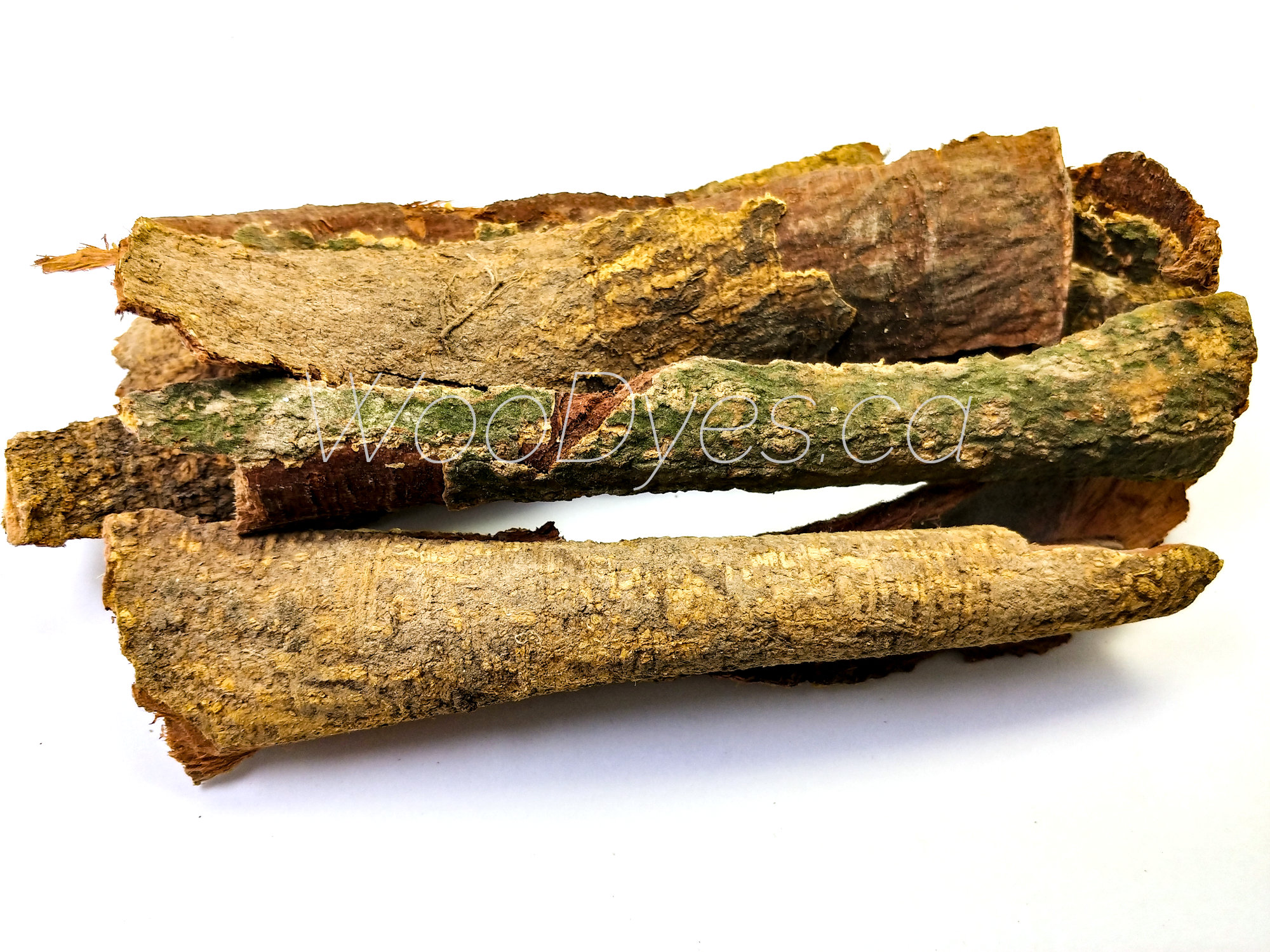 Acacia Confusa Root Bark (Wild-Harvested Whole) - W∞Dyes Acacia Confusa Root Bark Extraction