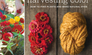 Harvesting Color: How to Find Plants and Make Natural Dyes (2011)